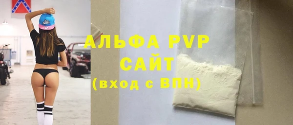 прущие грибы Магадан