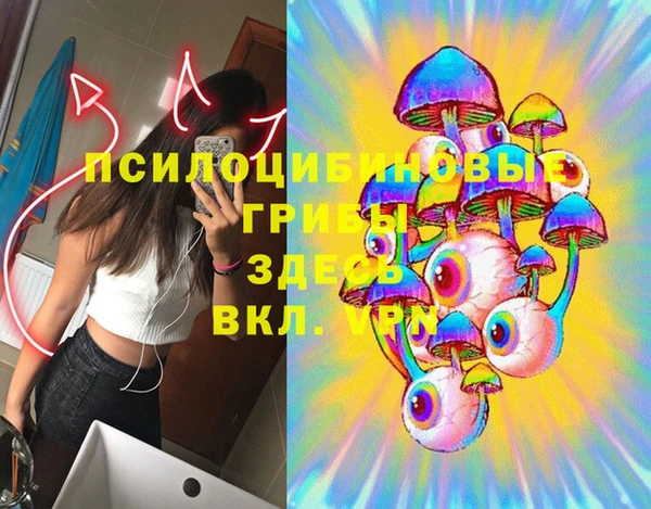 прущая мука Бежецк