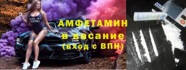 прущие грибы Магадан