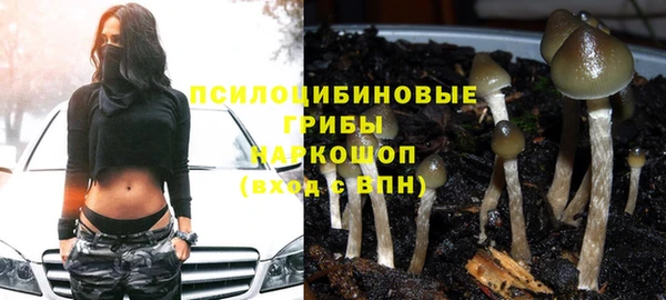 дмт Майский