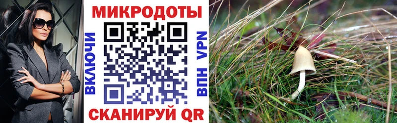 Галлюциногенные грибы ЛСД  Усть-Катав 
